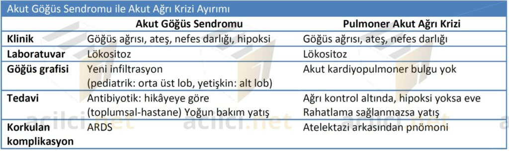 Akut Göğüs Sendromu Pulmoner Ağrı Krizi Ayrımı