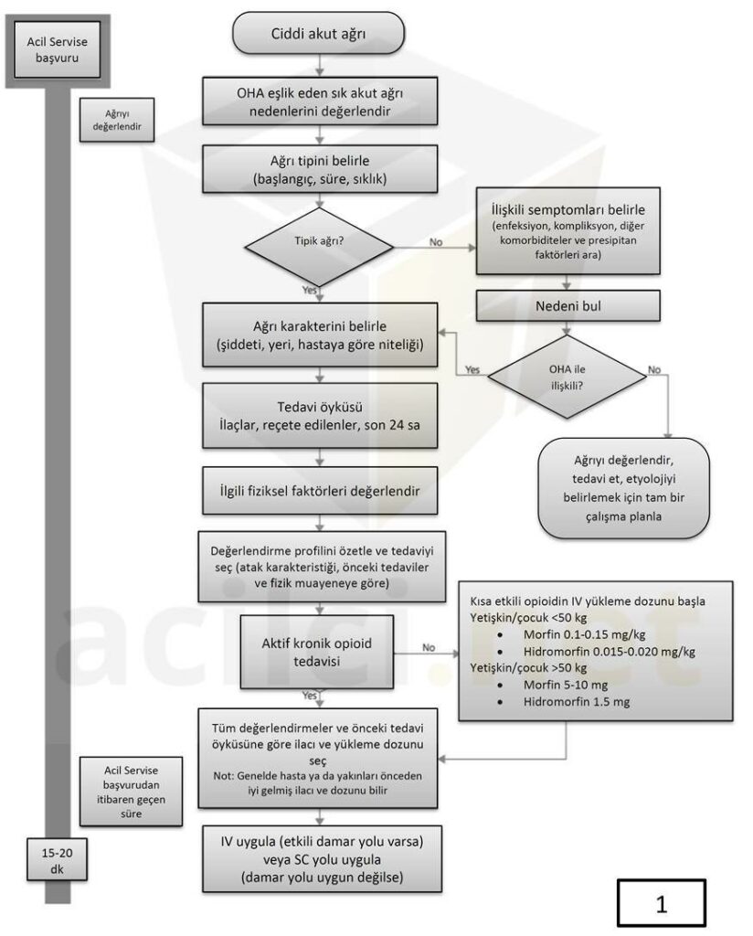 national-heart-lung-and-blood-institute-nhlbi-algoritmasi-1