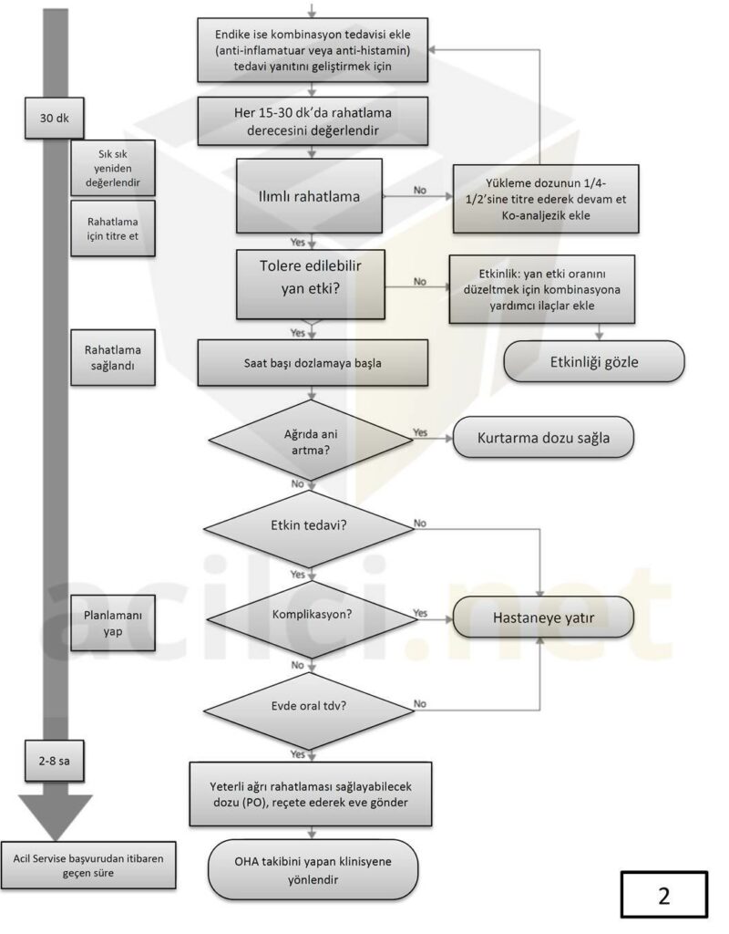 national-heart-lung-and-blood-institute-nhlbi-algoritmasi-2