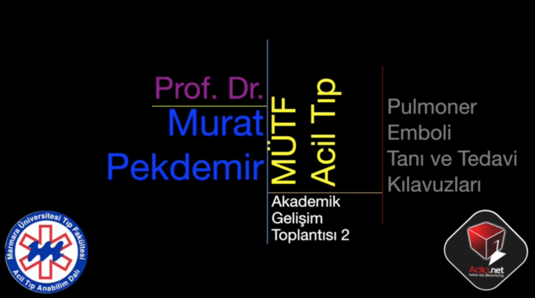 Pulmoner Emboli Tanı ve Tedavi Kılavuzları