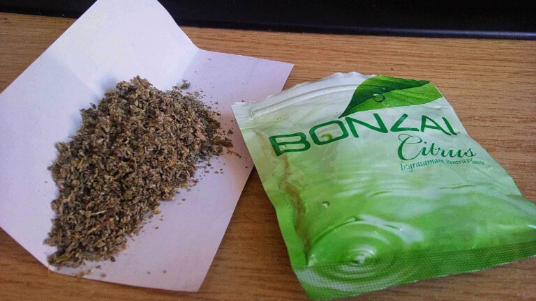 Doğan: Sentetik kannabinoidler – Literatür tarama