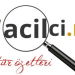 literatür özetleri