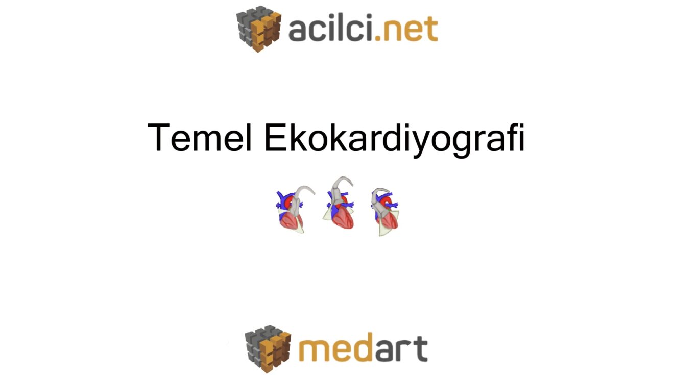 Temel Ekokardiyografi